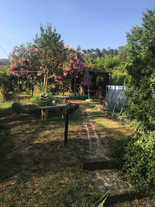 萨尔扎纳Le Rose , Relax In Casolare Del 1700公寓 外观 照片